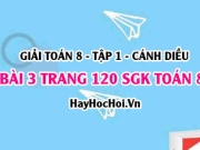 Giải bài 3 trang 120 Toán 8 Tập 1 SGK Cánh Diều